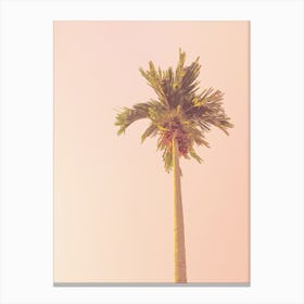Pink Palm Tree Sunset Canvas Print