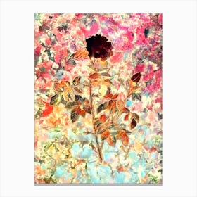 Impressionist Pink Rosebush Botanical Painting in Blush Pink and Gold Canvas Print