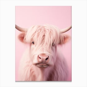 Cute Photographic Portrait Of Pastel Pink Highland Cow 4 Canvas Print