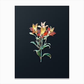 Vintage Red Speckled Flowered Alstromeria Botanical Watercolor Illustration on Dark Teal Blue n.0841 Canvas Print