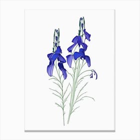 Delphinium Floral Minimal Line Drawing 1 Flower Canvas Print