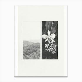 Orchid Flower Photo Collage 1 Canvas Print