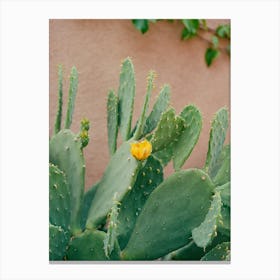 New Mexico Cactus on Film Canvas Print