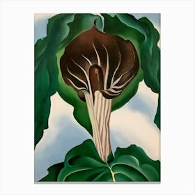 Georgia O'Keeffe - Jack-in-the-Pulpit No. 3, 1930 Canvas Print