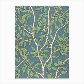 Paper Birch tree Vintage Botanical Canvas Print