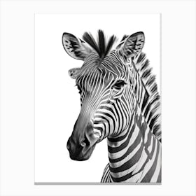 Zebra Portrait Canvas Print