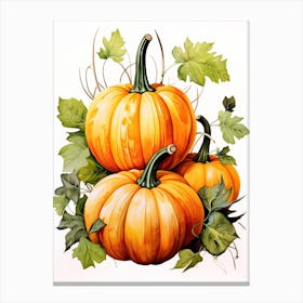 Jarrahdale Pumpkin Watercolour Illustration 1 Canvas Print
