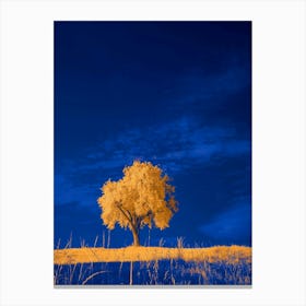 Lone Tree Canvas Print