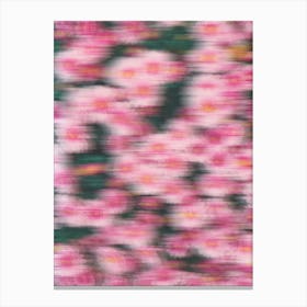 Pink Motion Flowers Canvas Print