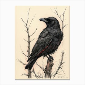 Crows 3 Canvas Print