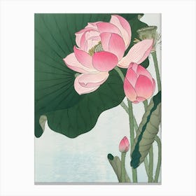 Lotus Flower 80 Canvas Print