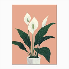 Peace Lily Plant Minimalist Illustration 7 Canvas Print
