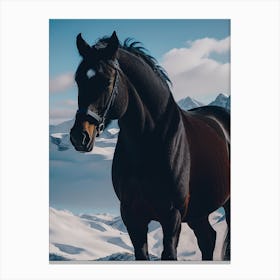 Black Horse in Snow Canvas Print