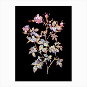 Stained Glass Pink Flowering Rosebush Mosaic Botanical Illustration on Black n.0312 Canvas Print