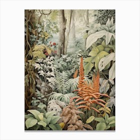 Vintage Jungle Botanical Illustration Ginger 2 Canvas Print