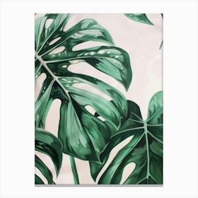 Monstera Leaves 2 Canvas Print