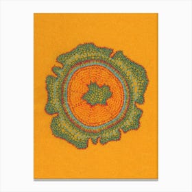 Taxus Growing Orange Canvas Print