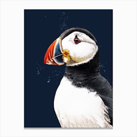 Clive The Puffin On Midnight Blue Canvas Print