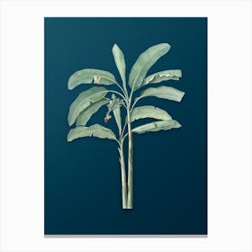 Vintage Banana Tree Botanical Art on Teal Blue n.0384 Canvas Print