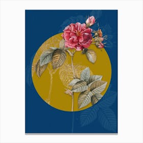 Vintage Botanical Pink Francfort Rose on Circle Yellow on Blue Canvas Print