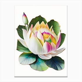 Early Lotus Decoupage 3 Canvas Print