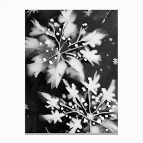 Delicate, Snowflakes, Black & White 4 Canvas Print