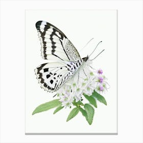 Marbled White Butterfly Decoupage 2 Canvas Print