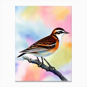 Lark 2 Watercolour Bird Canvas Print