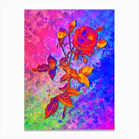 Provence Rose Botanical in Acid Neon Pink Green and Blue n.0152 Canvas Print