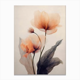 Parchment Flowers No 6 Canvas Print