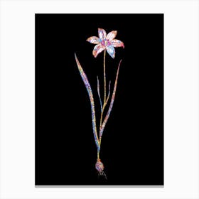 Stained Glass Lady Tulip Mosaic Botanical Illustration on Black n.0250 Canvas Print
