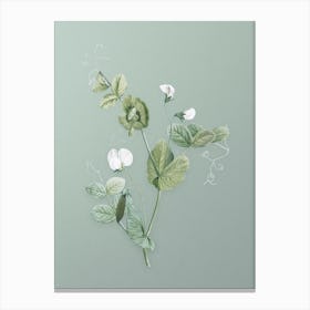 Vintage White Pea Flower Botanical Art on Mint Green n.0883 Canvas Print