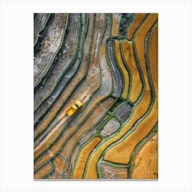 Rice Terraces Canvas Print