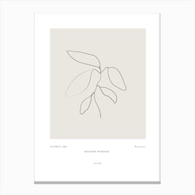 Art bohemian no 47 Canvas Print