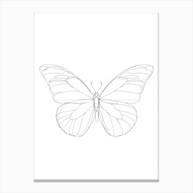 Butterfly Drawing Canvas Print