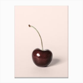 Cherry_2110345 Canvas Print