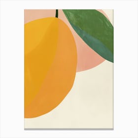 Mango Close Up Illustration 1 Canvas Print