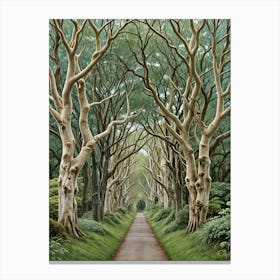 Mystical Dark Hedges Canvas Print