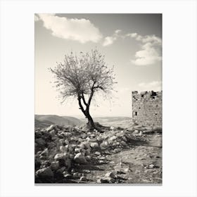 Palestine, Black And White Analogue Photograph 2 Canvas Print
