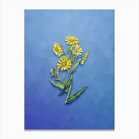Vintage Madia Flower Botanical Art on Blue Perennial n.0041 Canvas Print