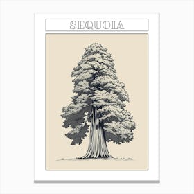 Sequoia Tree Minimalistic Drawing 4 Poster Canvas Print