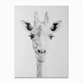 Giraffe 3 Canvas Print