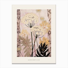 Flower Illustration Queen Annes Lace 6 Poster Canvas Print