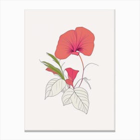 Impatiens Floral Minimal Line Drawing 3 Flower Canvas Print