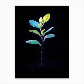 Small Green Plant On Black Background 19 Canvas Print