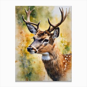 Mute Deer Canvas Print