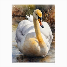 Gold Whooper Swan Canvas Print
