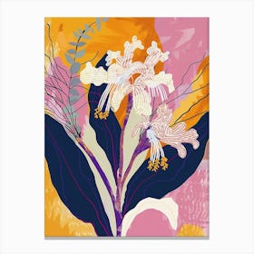 Colourful Flower Illustration Cineraria 8 Canvas Print