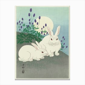 White Rabbits In The Moonlight Canvas Print