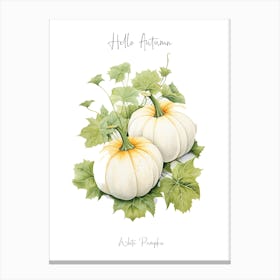 Hello Autumn White Pumpkin Watercolour Illustration 4 Canvas Print